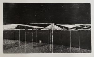 Maria Smolyaninova. Memory of the sea. 2021. Paper, etching, aquatint, 29×49.5 cm.